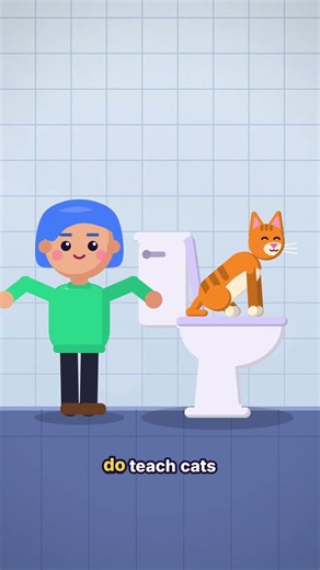 How To Train a Cat to Use The Toilet