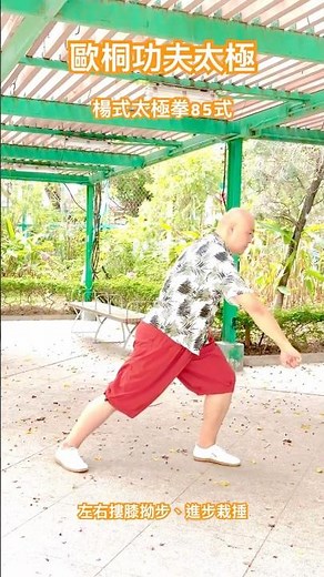 楊式太極拳85式之左右摟膝拗步、進步栽捶