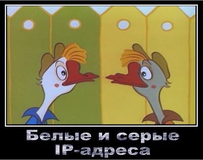 Как определить белый или серый IP адрес, какая разница