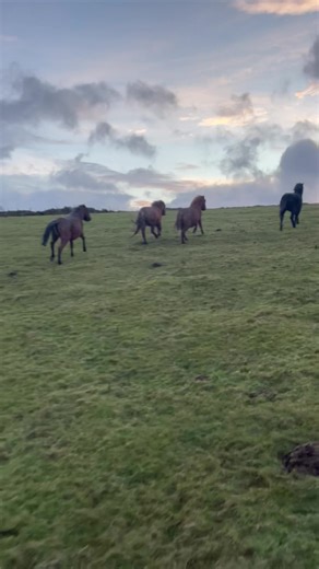 Beautiful morning. | Gareth Wyn Jones