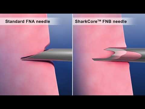 SharkCore™| FNB Needle Design and Comparisons | Medtronic