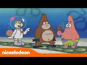 Bob Esponja | Gorila Suelto | Nickelodeon en Español