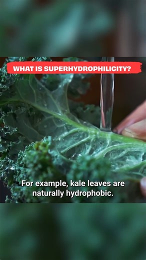 112K views · 760 reactions | Try saying "super hydrophilicity" 3 times fast  #popularscience #reels #funscience #physics #science | The Action Lab | Facebook