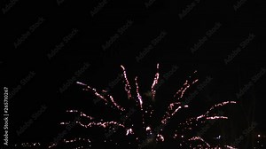 Large Red Firework Rocket Shooting up and Exploding TILT UP