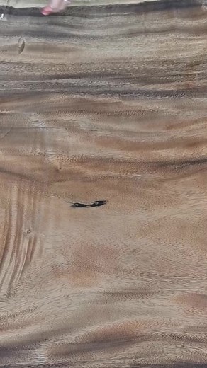 Zeigt uns eure Flugfähigkeiten mit unserem Papierflieger-DIY! 🛩️ Egal ob zum Geburtstag, für die Schule oder im Kindergarten – in unserem Video findet ihr heraus, wie ihr diesen Papierflieger bastelt. Und das Beste? Ihr könnt eurer Fantasie freien Lauf lassen und die Flieger ganz farbenfroh gestalten, um sie zu etwas ganz Eigenem zu machen!‍ ✂️🖌️ #DIY #Papierflieger #Kreativität #Basteln | Henkel