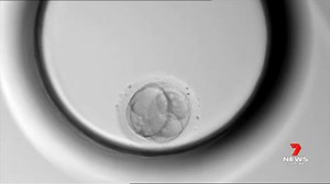 18K views · 44 reactions | Local fertility clinics say the COVID pandemic has led to a sharp rise in the number of women in their 20s choosing to freeze their eggs. It is a process costing thousands of dollars, but one IVF patient says it is an investment she now wishes she had made. 7NEWS Adelaide at 6pm | www.7NEWS.com.au #7NEWS | 7NEWS Adelaide | Facebook