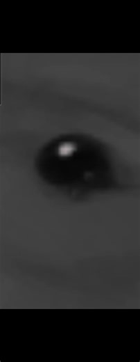 I figured out lineart is optional it's all over WIP of a new oc I have, goblin shark guy! I think he'd make an awesome fursuit I wish I wasn't broke ToT My comms are open, feel free to dm/comment! #digitalart #fyp #furry #fursonaart #ocart