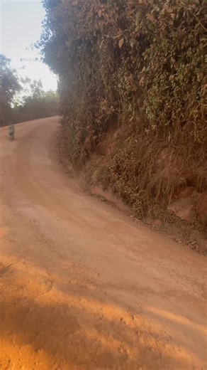 What looks like a race between the zuriafrica safaris jeep and a hyena 🐾🚙 is actually a rare and thrilling encounter — one of those unforgettable moments in the wild that most people never get to experience. 🌿✨ Experience the wild up close on a Tanzania safari with zuriafrica safaris. 📩 info@zuriafricasafaris.com 📞 WhatsApp: 255 679 746 412 🌍 www.zuriafricasafaris.com #tanzaniasafari #serengeti #tarangire #wildlifephotography #hyena #africanwildlife #safarilife #travelafrica #exploretanzan