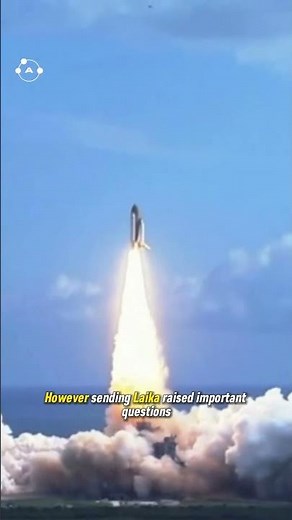 Laika | The dog that was sent to space