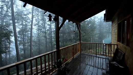 超級放松的雨林雷雨之夜，雨雷闪电給你最佳睡眠，自然音乐视频，雷雨声，白噪音，PTSD，下雨声，治愈，雷暴，暴雨，睡眠音乐，抑郁症、神经衰弱，学习