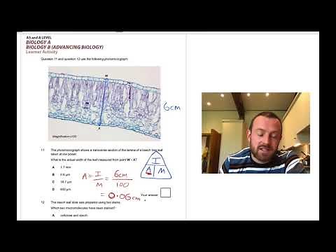 Cells Multiple Choice (OCR A Level Biology 2.1 Cells)