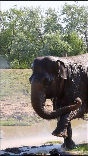 41K views · 871 reactions | Here’s a behind-the-scenes look at just...