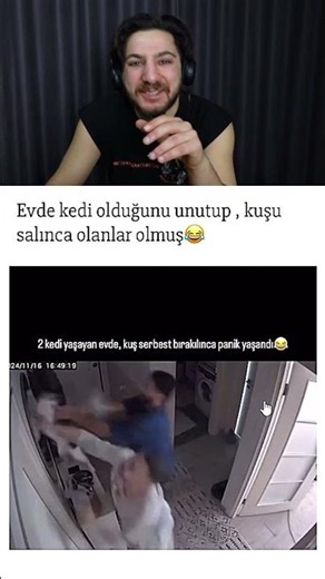Sylvester ve Tweety gerçek mıymış 😺🐤 #komedi #eğlence #mizah