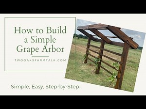How to Build a Simple Grape Arbor - [Super Simple Project!]