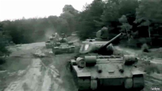 Striking From Behind: The Panzer Ambush That Shattered a Soviet Column