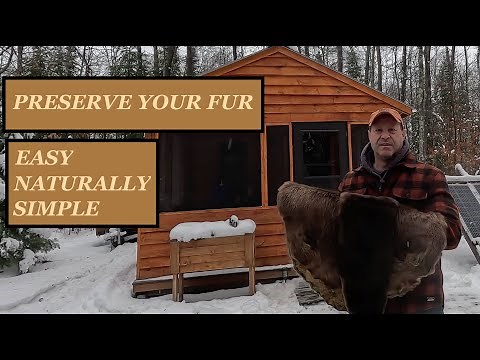 FUR TANNING the easy way! Step by Step guide.