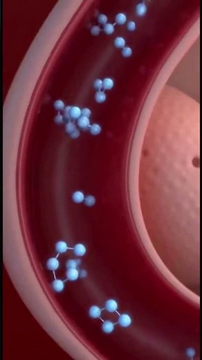 What Happens When Your Period Comes Early? 😳 (3D Explained)