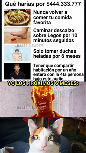 Lo HARÍAS por $444 millones?