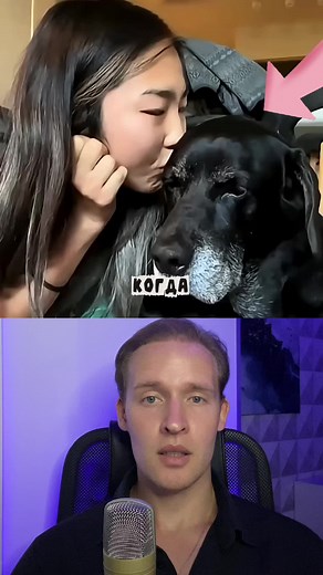 MEMORYNEWS (@memorynews)’s videos with оригинальный звук - MEMORYNEWS