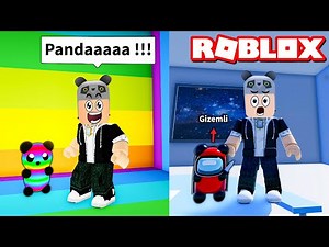 I Find The Lost Pandas!! - Roblox Find The Pandas with Panda