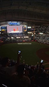 So the texas tailgaters definitely has the cutest crowd 🥺💌 (🎥: @kelseyvansickle_ ) #Houston #HoustonBucketList #HTX | Houston Bucket List