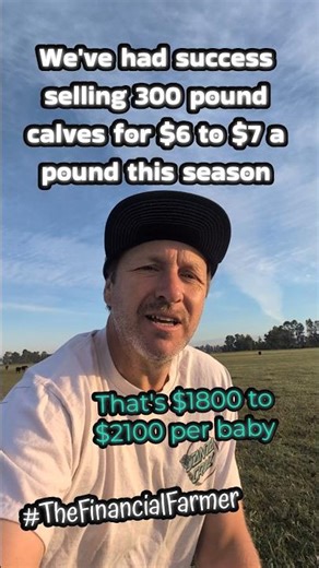 How To Make Big Profit on Your Farm or Homestead Raising Beef Cows #farmdad #farming
