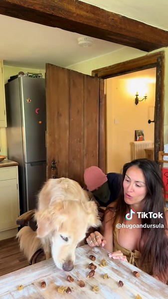 Ursula (@hugoandursula)’s videos with A Million Colors - Vinih Pray