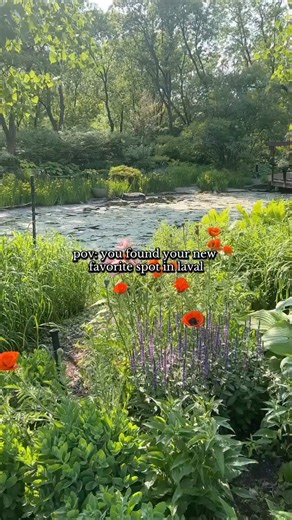 Sarah | Montreal & Travel Content/UGC | truly one of laval’s gems! it’s unreal on a hot sunny day😍☀️🌸💕 📍centre de la nature laval gem laval hangout laval park things to do laval... | Instagram