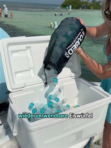 Diese Eiswürfel werden immer wieder verwendet!
