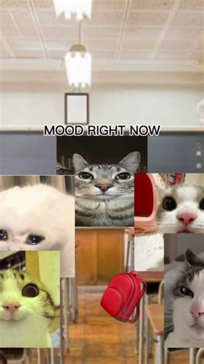 Crazy #crazystuff #classroom #fyp #blowup