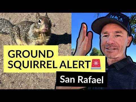Ground Squirrel Removal in San Rafael — Local Pest Control Expert Explains What ACTUALLY Works