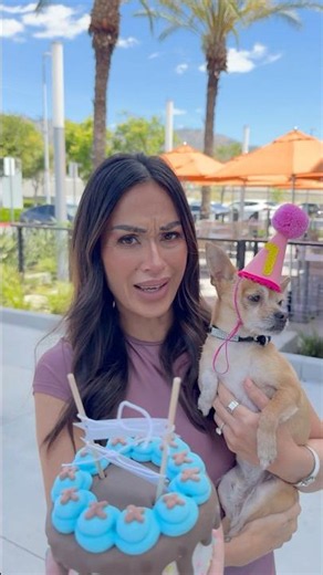 WILL THE DOG EAT HER BIRTHDAY CAKE? #msbeanie ‪@catsackett‬