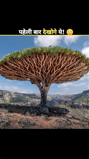 99% People Don’t Know These Shocking Facts 😱 #shorts #facts #viral ‪@MrBeast‬ ‪@MRINDIANHACKER‬