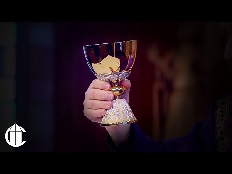 Catholic Mass Today: 12/7/25 | Second Sunday of Advent