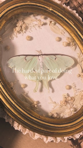 Exploring the World of Taxidermy Oddities and Vintage Finds