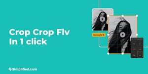 FLV Video Cropping Tool - Easy Online FLV Cropper