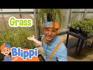 Learn Colors & Watch Plants Grow with Blippi! | Blippi's Colorful Fun! | Blippi Adventures