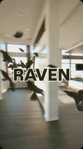 21K views · 46 reactions | The Teleporting Raven ‍⬛ Effect - Made With @higgsfield.ai If you guys want to try this effect, Go to Higgsfieldai.com and try it out. #explore #viral #vfx #trending #reel #effects #edits #ai #higgsfieldai | Effects Collins | Facebook