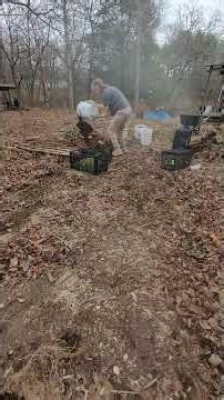 Composting rabbit manure
