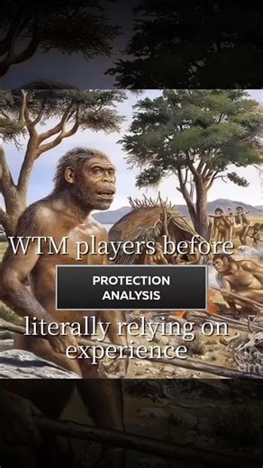 WTM Players before Armor Analyzer be like: