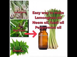 How to make Lemongrass, Neem, Basil ,Peppermint oils Great for food recipes,Get rid of fleas on Pets