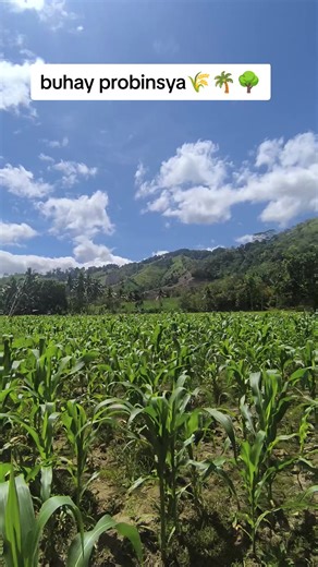 marimar❤️🥰💚 (@mahalko_24)’s videos with original sound - Jchris DailyLife Vlog🏹🏞️