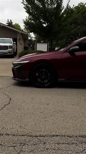 How to Use a Laser Pointer for Cat Fun