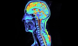 1.3K reactions · 1K shares | In the latest instalment of our Science...