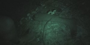 Bailey Haunted Fire House returns Friday