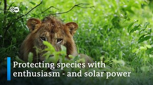 Botswana's Chobe National Park offers a complete package for eco-tourists, including a renewable-powered hotel that recycles water and waste, and safari trips in silent, emission-free e-cars. | DW Environment