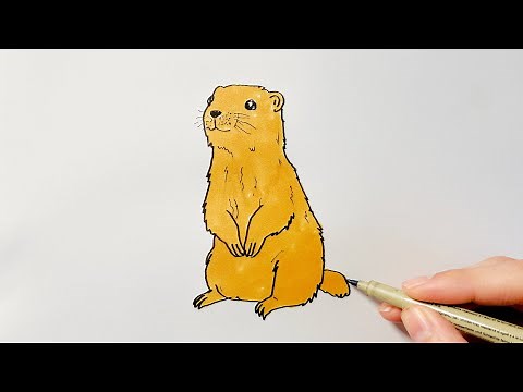 How to Draw a Groundhog