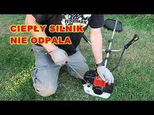 Warm engine - brush cutter chainsaw DOES NOT START. What needs to be replaced?