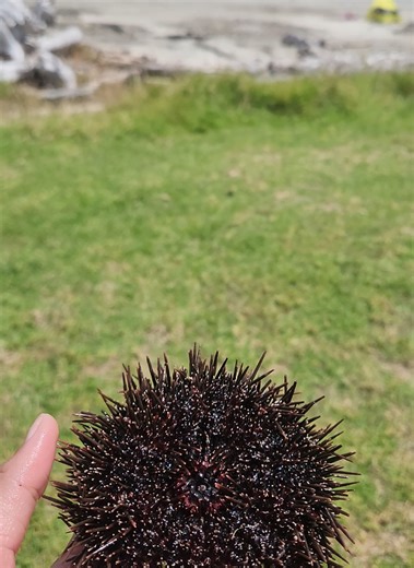 Easy Diving Hacks for Kids on a Budget