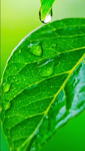 AI Slow Motion Water Drop 💧 | DaVinci Resolve Studio + Fusion (NVIDIARTXVideoHDR1) #slowmotion